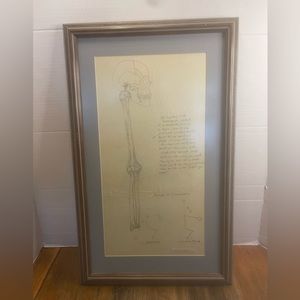 Framed Anatomy Art Spine Replaced With Arm Bone 21” x 13” Interesting Piece
